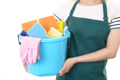 Professional carpet cleaning in a clean E16 home interior