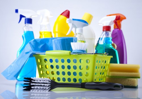 Professional carpet cleaning service for E16 homes