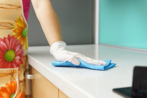 Professional hard floor cleaning for an E16 home interior