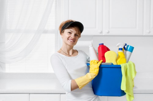Deep cleaning a rug to remove dirt and stains in E16