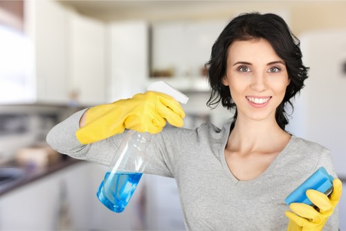 Legal terms document for carpet cleaning services