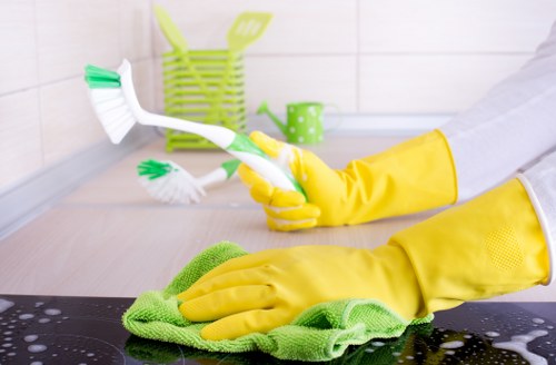Exterior cleaning for residential and commercial properties in E16