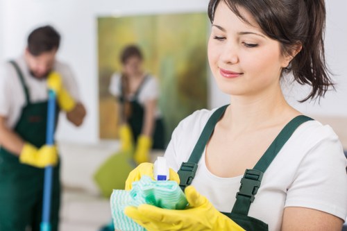 Professional domestic cleaning service for an E16 home interior