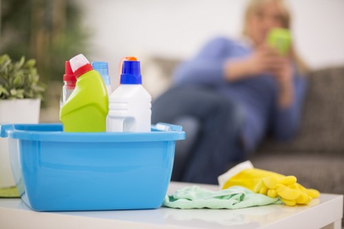 Domestic cleaner providing kitchen and bathroom cleaning in E16