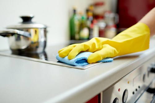 Detailed property cleaning checklist for E16 customers
