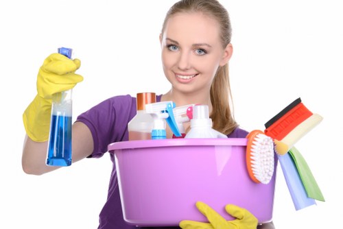 Residential carpet refresh service for homes and rentals in E16