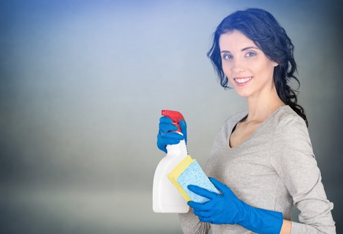 Regular domestic cleaning for modern apartments in E16